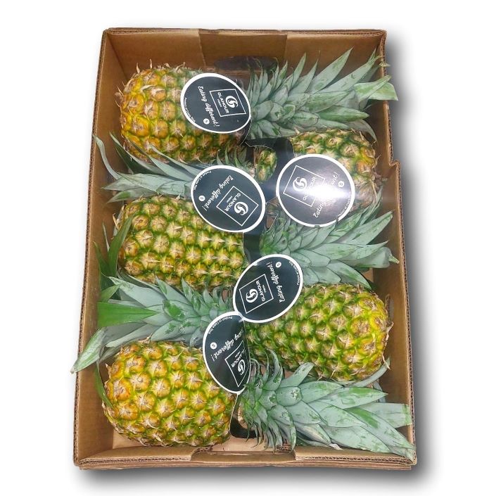 Piñas ''Del Monte Gold''