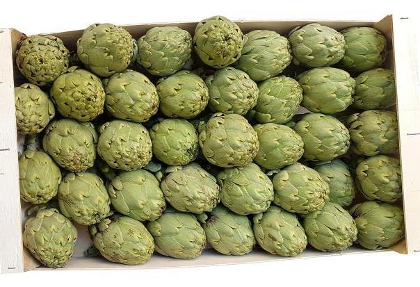 Alcachofas de Tudela - Frutas Lave