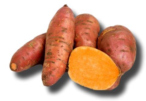 Batatas dulces, boniato