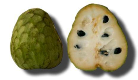 Chirimoyas Temporada - Frutas Lave