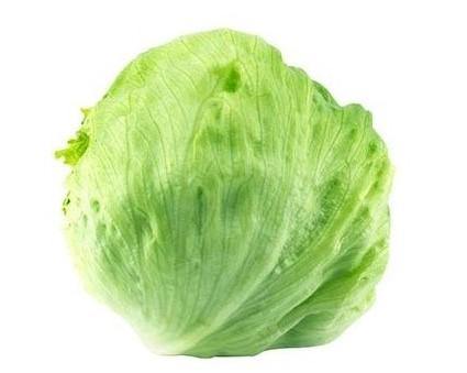 Lechuga iceberg
