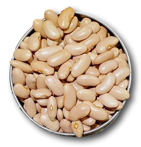 Judía Canela de León - Frutas Lave