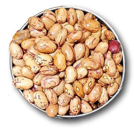 Judía Pinta de León - Frutas Lave