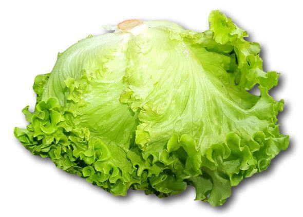 Lechuga Batavia - Frutas Lave
