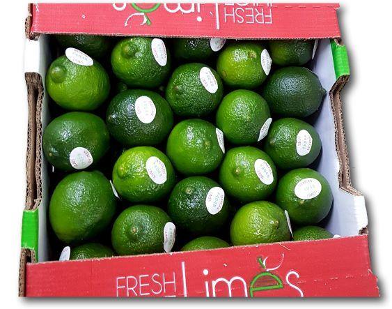 Limas 1ª - Frutas Lave