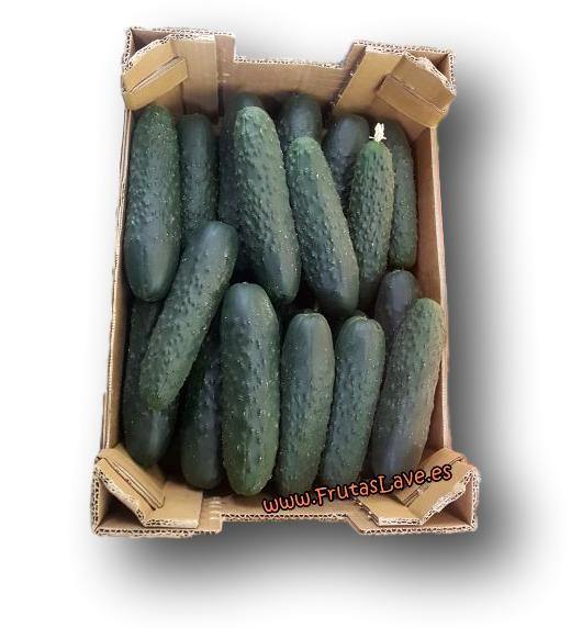 Pepinos Villa del Prado - Frutas Lave