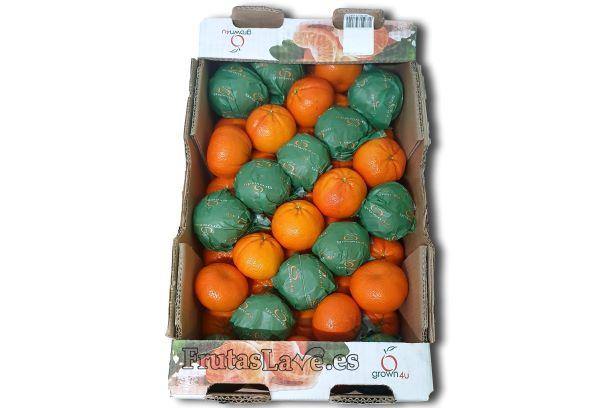 Clementinas Grandes ORRI