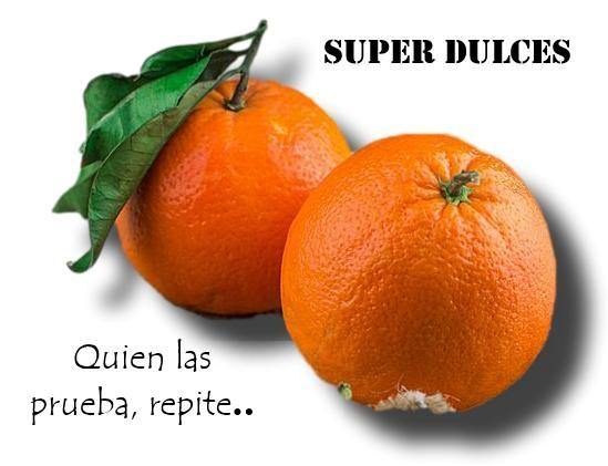 Recién llegadas de Córdoba, naranjas ecológicas - Frutas Lave