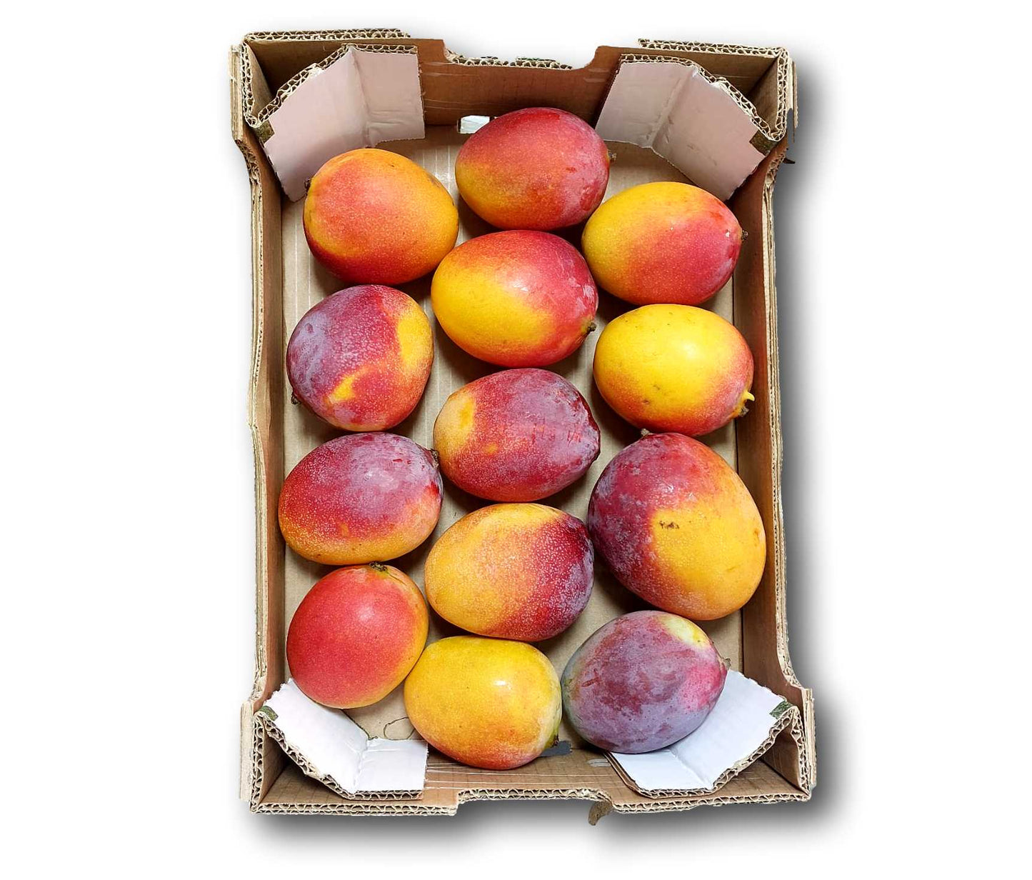 Mangos Avión Extra