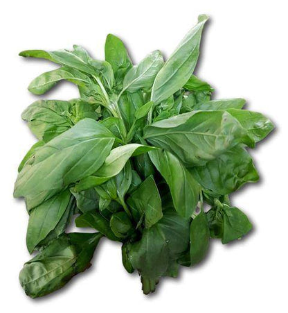 Hierbas Aromáticas Frescas - Frutas Lave