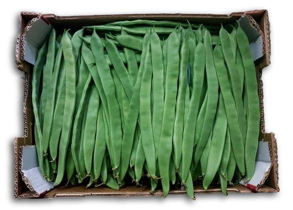Judías Verdes Nacionales - Frutas Lave