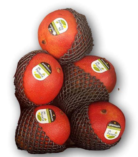 Mangas Especiales - Frutas Lave