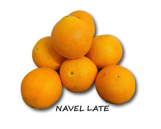 Naranjas de Mesa Navel Late