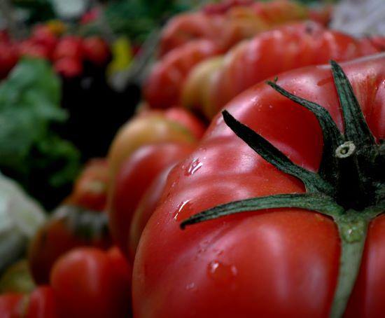 Tomate Rojo Daniela - Frutas Lave