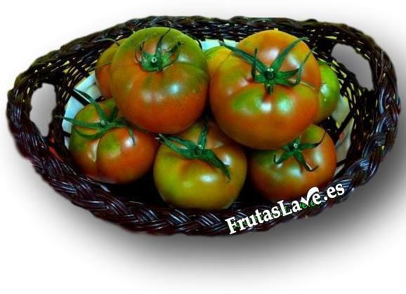 Tomate Ensalada ''Ávila'' - Frutas Lave
