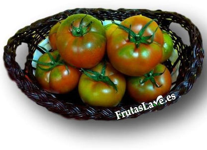 Tomate Ensalada ''Ávila'' - Frutas Lave