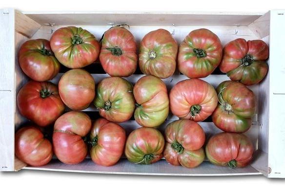 Tomate Rosa de Huerto - Frutas Lave