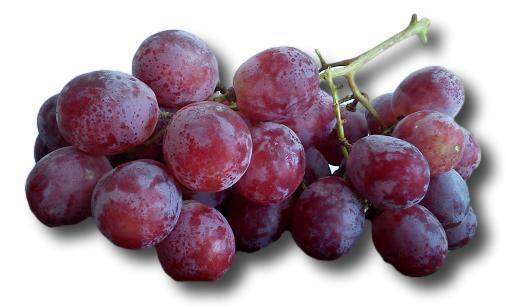 Uva Morada ''Red Glove'' - Frutas Lave