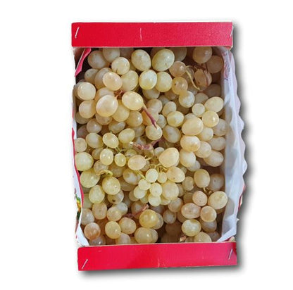 Uva Moscatel ''Vinalopo''