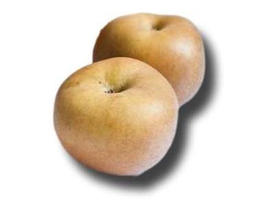 Manzana Reineta