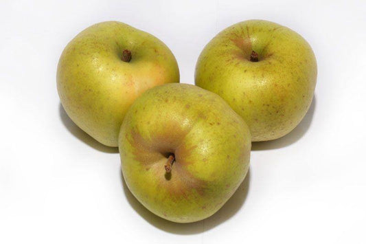 Manzana Reineta